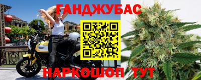 сатива Краснодар