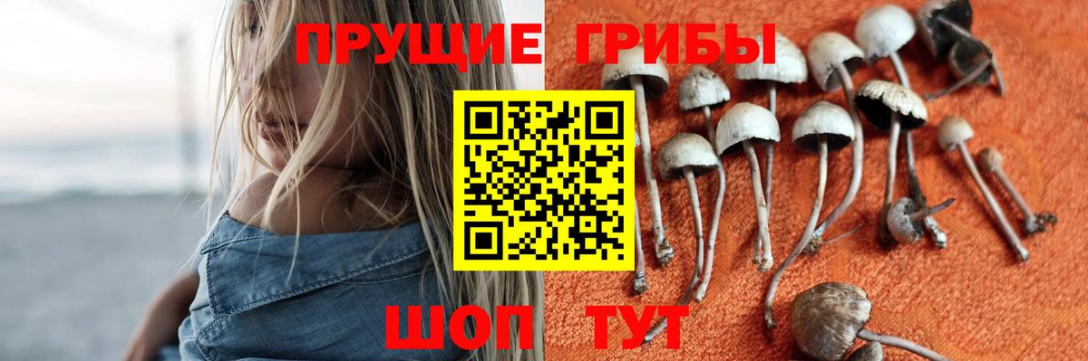 дарнет шоп  Галлюциногенные грибы мицелий  Вход с VPN  Каменка 